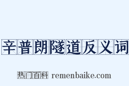 辛普朗隧道反义词是什么意思的图片